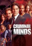 Thomas Gibson in: Criminal Minds