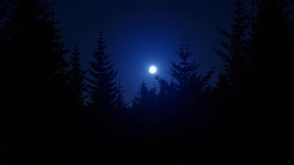 Bild 1 von 2: Am zweiten Weihnachtsfeiertag im Jahr 1980 um drei Uhr morgens beobachteten Militärangehörige bei ihrer Patrouille vermeintlich die Landung außerirdischen Flugobjekts im Rendlesham Forest.