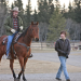 Heartland - Paradies für Pferde