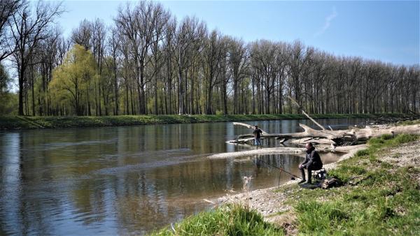 Bild 1 von 6: Die Isar ist einer der letzten Wildflüsse Europas. Im Mündungsgebiet breitet sie sich aus, wird langsamer, bis sie bei Deggendorf in die Donau fließt.
