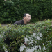 Grantchester