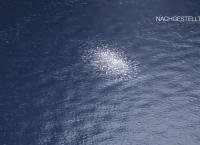 UFO-Theorien - Zwischen Fakt und Fiktion: Pentagon