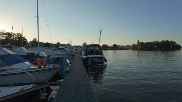 Bild 1 von 6: .
