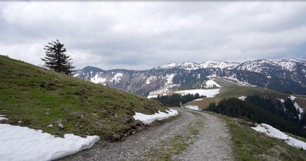 Bild 1 von 6: Im Bild: An der Baumgrenze, wo die Natur steil, karg und felsig ist, wird die Forstarbeit beschwerlich und gefährlich.