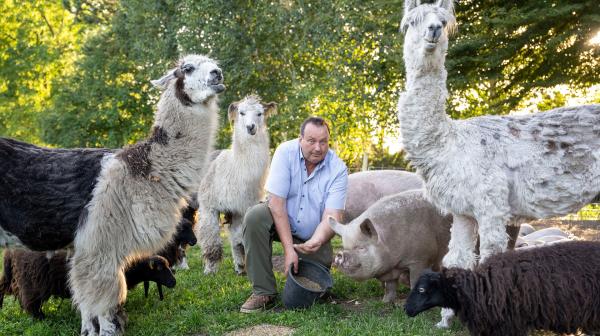 Bild 1 von 6: Ludger Bremehr umringt von zahlreichen Tieren.