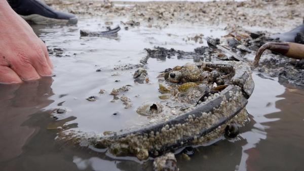 Bild 1 von 15: Schleswiger Wissenschaftler*innen finden im Wattenmeer immer wieder Hinweise auf eine blühende Handelsstadt. Die Bewohner der versunkenen Stadt Rungholt lebten vor allem von der Salzgewinnung und dem Fernhandel. Bis eine gewaltige Sturmflut in der Nacht des 16. Januar 1362 alles verschlang.