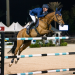 Springreiten
