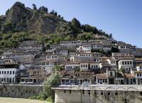 Epic Exploring: Going Local