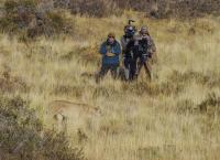 Patagonien - Wunderwelt der Extreme