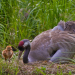 Abenteuer Wildnis