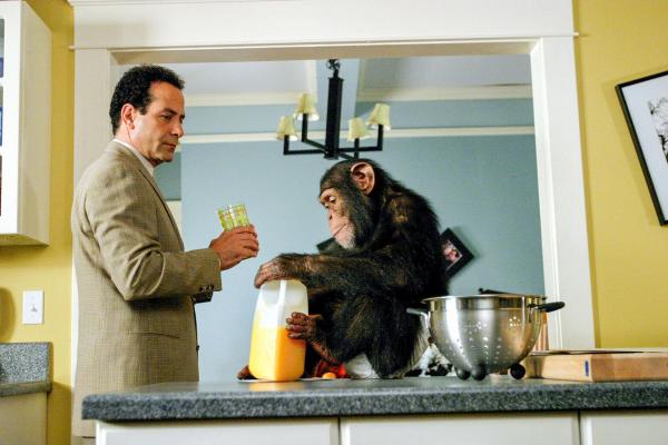 Bild 1 von 3: Im Bild: Tony Shalhoub (Adrian Monk).