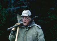 Friedhof der Kuscheltiere