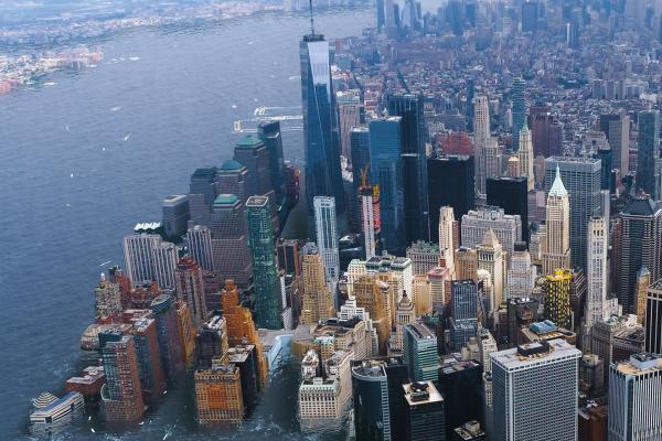 Bild 1 von 1: 