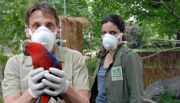 Bild 1 von 4: Dr. Susanne Mertens (Elisabeth Lanz, rechts) ist davon überzeugt, dass der Papagei von Dr. Tom Berkhoff den gefährlichen Virus in den Zoo eingeschleppt hat. Gemeinsam mit Tierpfleger Conny (Thorsten Wolf) separiert sie den Vogel.