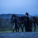 Love & Friendship