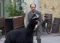 Tierärztin Dr. Mertens