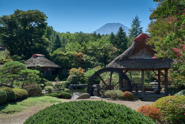 Bild 1 von 4: Eine japanische Idylle - im Hintergrund der heilige Vulkan Fuji.
