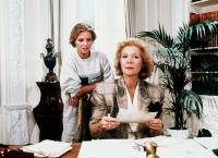 Das Erbe der Guldenburgs