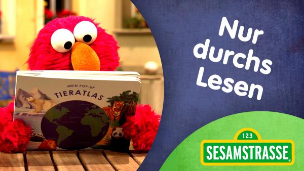 Bild 1 von 2: Elmo überzeugt Wolf, den Lesemuffel, mit einem Song, das Lesen toll ist.