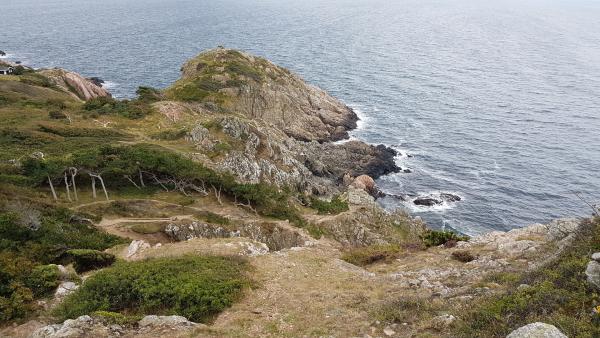 Bild 1 von 4: .