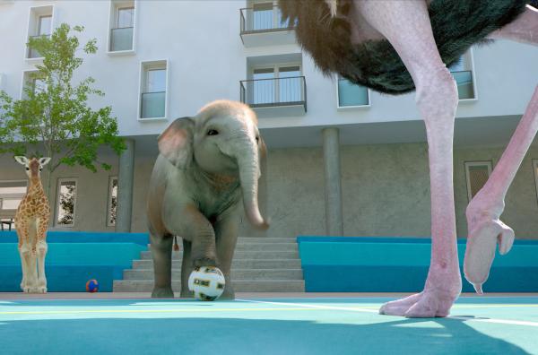 Bild 1 von 2: Das Giraffenkind und das Elefantenbaby lassen sich von den Straußüen und Nilpferden nicht beeindrucken und zeigen den Erwachsenen ihre raffiniertesten Fußüballmanöver.