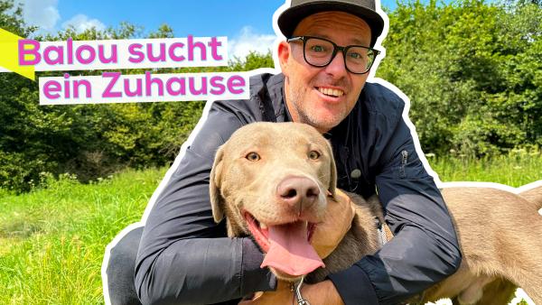 Bild 1 von 1: Ben mit Labrador Balou