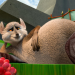 Bild 13