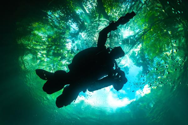 Bild 1 von 15: In den Cenoten liegt eine leichtere Schicht aus Süßwasser auf schwererem Salzwasser.