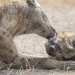 Abenteuer Wildnis