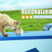 hundkatzemaus
