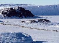 Die Reise der Pinguine