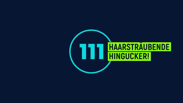 Bild 1 von 1: 111 haarsträubende Hingucker! - Logo