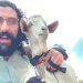 Travel with a Goat