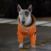 Space Buddies - Mission im Weltraum