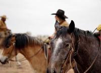Fremder Stern Texas - Mehr als Cowboys, Öl und Wilder Westen
