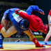 Sambo: Weltmeisterschaft in Serbien