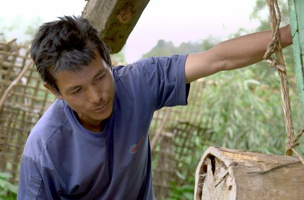 Bild 1 von 4: Fast an jedem Haus in Laprak befinden sich Bienenstöcke mit der in Nepal am häufigsten vorkommenden Apis cerana, der Östlichen Honigbiene .