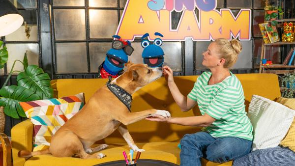 Bild 1 von 2: SingDings Cousine Melody ist heute zu Besuch und sie hat nicht nur ihren felligen Freund Lennox dabei, sondern auch ganz viele Style-Ideen für SingDing im Gepäck.