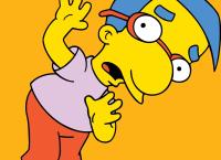 Die Simpsons