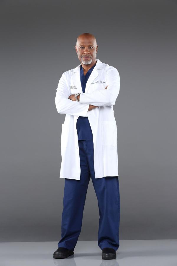 Bild 1 von 32: (10. Staffel) - Beruflich weiß Dr. Richard Webber (James Pickens, Jr.) immer, was er tut ...
