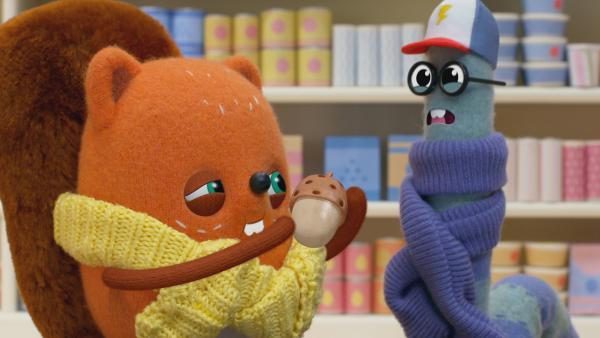 Bild 1 von 3: Proviant bei Schneesturm-Warnung: Emil und Pedro finden nur eine einzige Eichel.