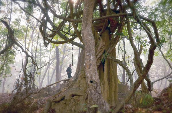 Bild 1 von 5: Shreedhar Pohkeral ist Guide und hat viel Erfahrung mit Tigern: Er zieht den Stock jeder anderen Waffe vor und ist auf der Hut, denn die Großkatzen haben ihn schon oft überrascht.
