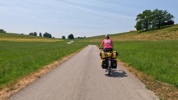Bild 1 von 1: .