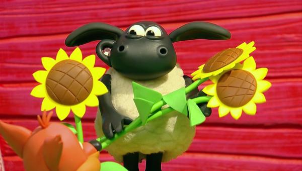 Bild 1 von 3: Timmy