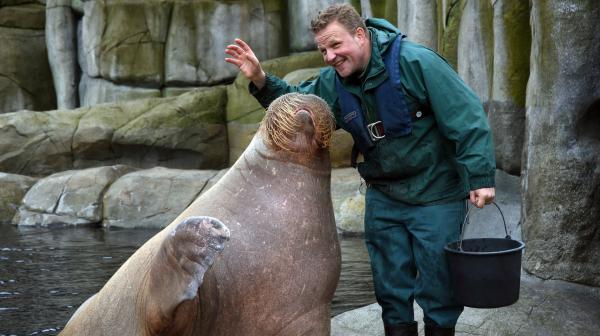 Bild 1 von 2: Seit 27 Jahren arbeitet Dirk Stutzki im Tierpark Hagenbeck.