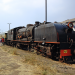 Von Tausendfüßlern, Elefanten und Löwenbabys - Shongololo-Express