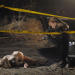 CSI: Den Tätern auf der Spur