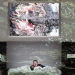 Hotel Metamorphosis