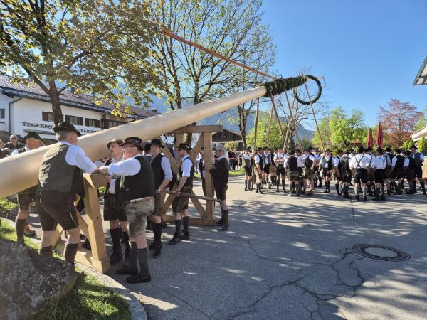 Bild 1 von 20: Burschenverein Rottach beim Maibaumaufstellen.