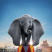 Dumbo